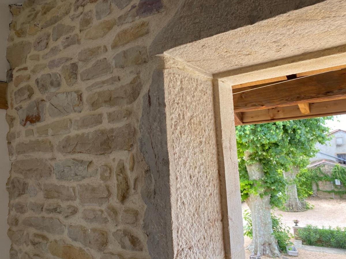 Chateau De Chatenay - Macon Sance Exterior photo